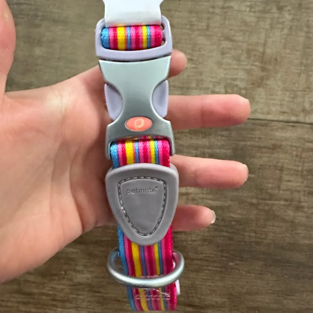 New Signature by petmate large nylon striped collar